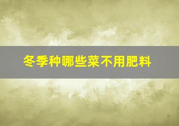 冬季种哪些菜不用肥料