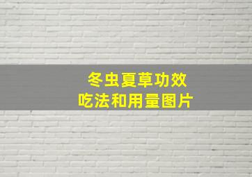 冬虫夏草功效吃法和用量图片