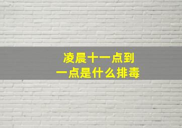 凌晨十一点到一点是什么排毒