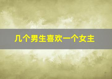 几个男生喜欢一个女主