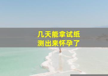 几天能拿试纸测出来怀孕了