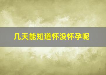 几天能知道怀没怀孕呢