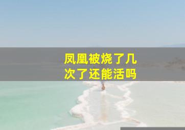 凤凰被烧了几次了还能活吗