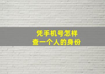 凭手机号怎样查一个人的身份