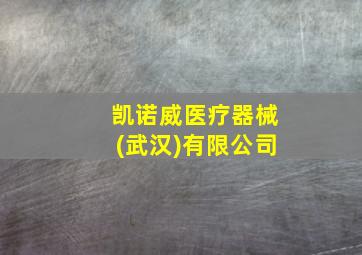 凯诺威医疗器械(武汉)有限公司