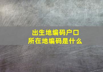 出生地编码户口所在地编码是什么