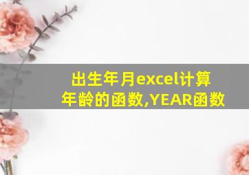 出生年月excel计算年龄的函数,YEAR函数