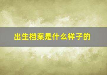 出生档案是什么样子的