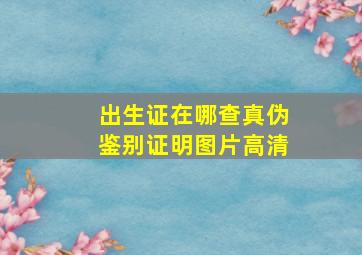 出生证在哪查真伪鉴别证明图片高清