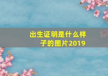 出生证明是什么样子的图片2019