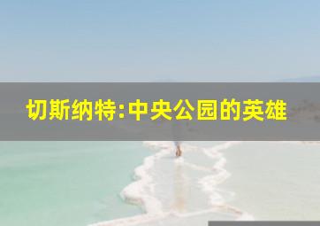 切斯纳特:中央公园的英雄