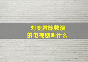 刘奕君陈数演的电视剧叫什么