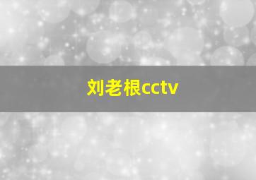 刘老根cctv