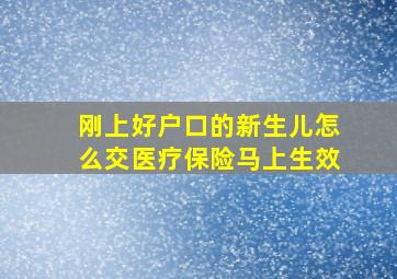 刚上好户口的新生儿怎么交医疗保险马上生效