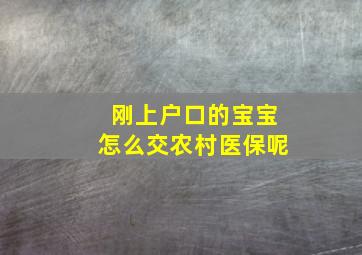 刚上户口的宝宝怎么交农村医保呢