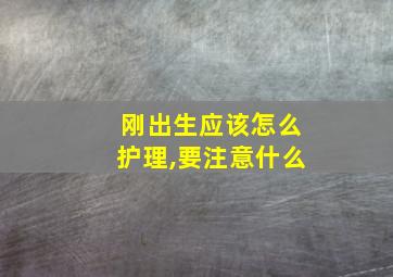 刚出生应该怎么护理,要注意什么