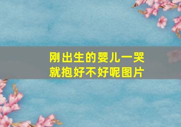 刚出生的婴儿一哭就抱好不好呢图片