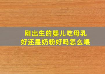 刚出生的婴儿吃母乳好还是奶粉好吗怎么喂