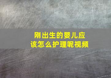 刚出生的婴儿应该怎么护理呢视频