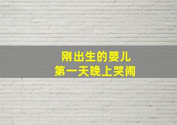 刚出生的婴儿第一天晚上哭闹