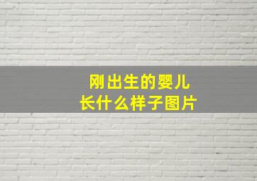 刚出生的婴儿长什么样子图片