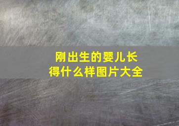 刚出生的婴儿长得什么样图片大全