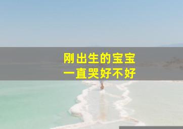 刚出生的宝宝一直哭好不好