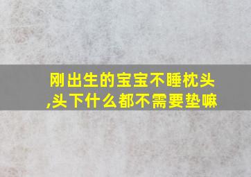 刚出生的宝宝不睡枕头,头下什么都不需要垫嘛