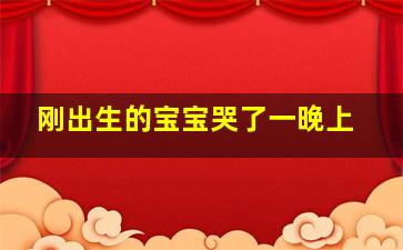 刚出生的宝宝哭了一晚上