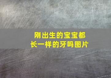 刚出生的宝宝都长一样的牙吗图片