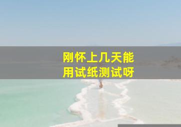 刚怀上几天能用试纸测试呀