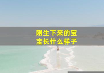 刚生下来的宝宝长什么样子