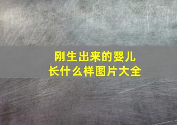 刚生出来的婴儿长什么样图片大全