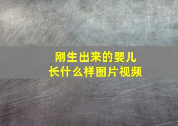 刚生出来的婴儿长什么样图片视频