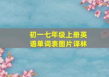 初一七年级上册英语单词表图片译林