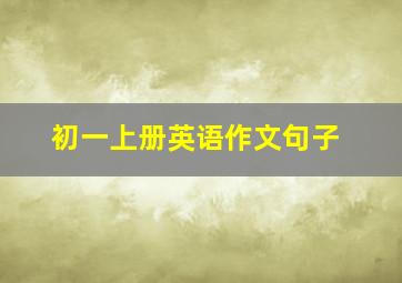 初一上册英语作文句子