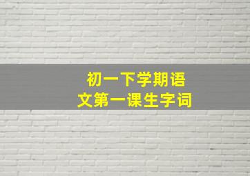 初一下学期语文第一课生字词