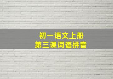 初一语文上册第三课词语拼音