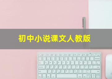 初中小说课文人教版