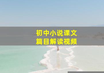 初中小说课文篇目解读视频