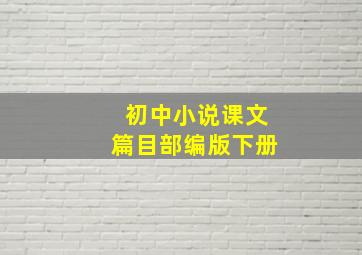 初中小说课文篇目部编版下册