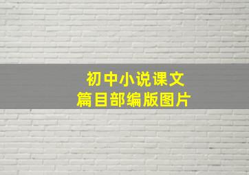 初中小说课文篇目部编版图片