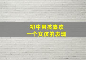 初中男孩喜欢一个女孩的表现