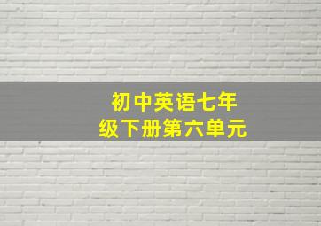 初中英语七年级下册第六单元