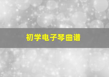 初学电子琴曲谱