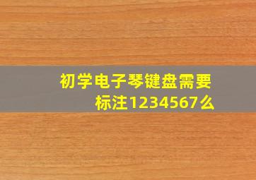 初学电子琴键盘需要标注1234567么