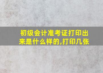 初级会计准考证打印出来是什么样的,打印几张