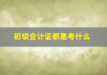 初级会计证都是考什么