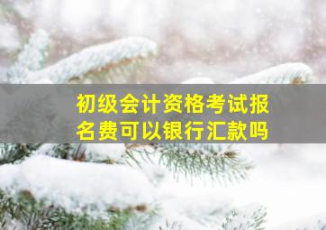 初级会计资格考试报名费可以银行汇款吗