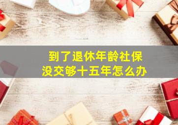 到了退休年龄社保没交够十五年怎么办